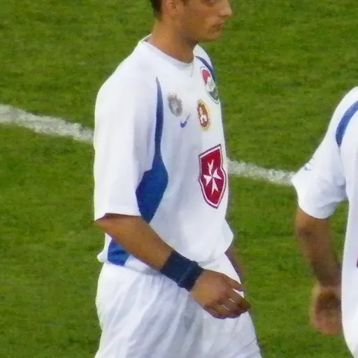 Portrait of Goran Vujović