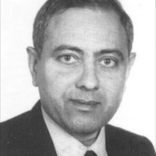 Portrait of Mohamed El Ghanem
