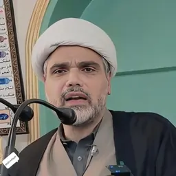 Portrait of Masroor Abbas Ansari