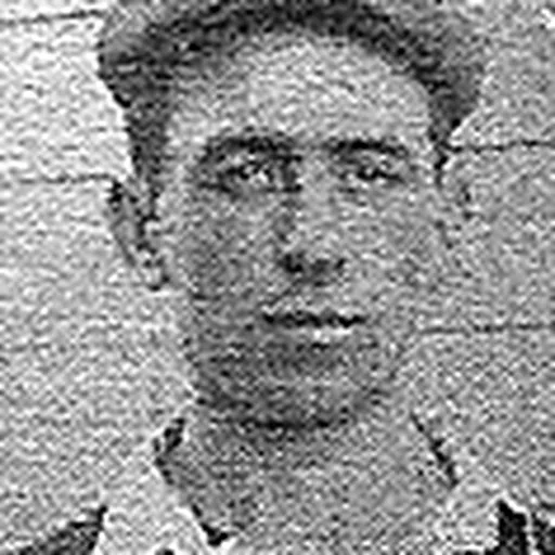 Portrait of Enrique Colla