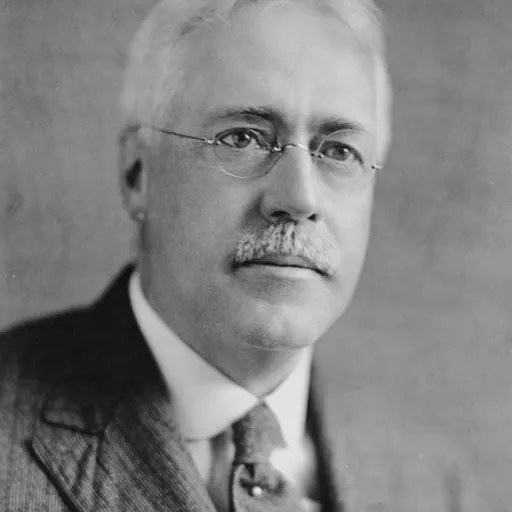 Portrait of Frank Arthur Vanderlip