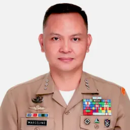 Portrait of Ferdinand Marcelino