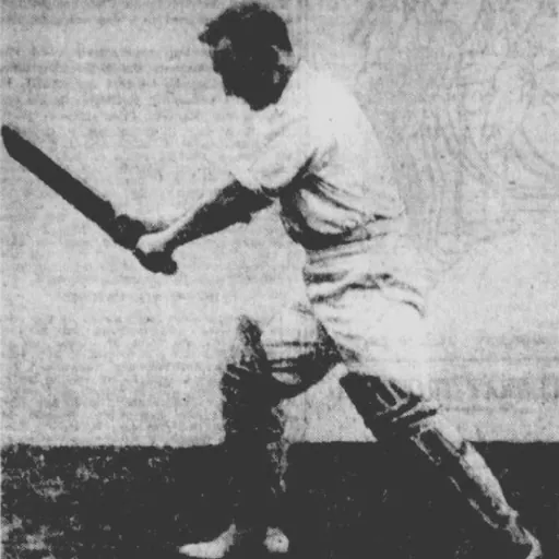 Portrait of Bert Davie
