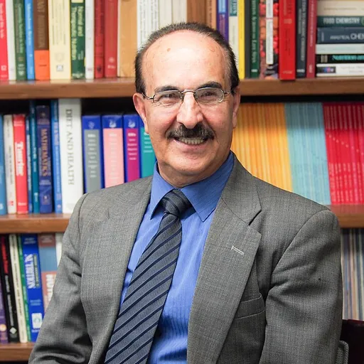 Portrait of Bahram H. Arjmandi