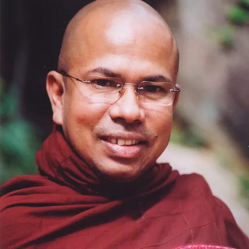 Portrait of Kiribathgoda Gnanananda Thero