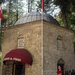 Portrait of Akşemseddin