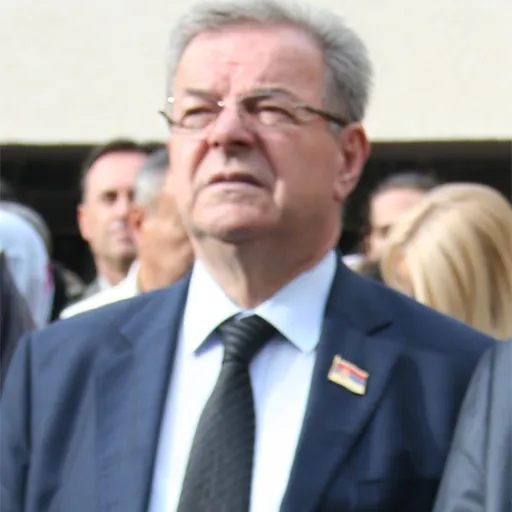 Portrait of Dragomir Karić