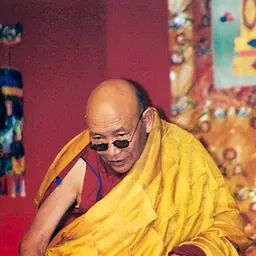 Portrait of Trulshik Rinpoche