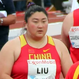 Portrait of Liu Xiangrong