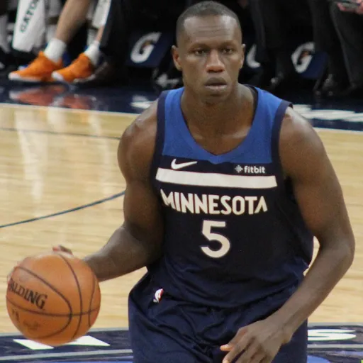 Portrait of Gorgui Dieng