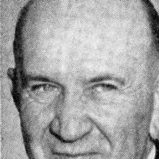 Portrait of Johannes de Klerk