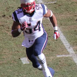 Portrait of Dont'a Hightower