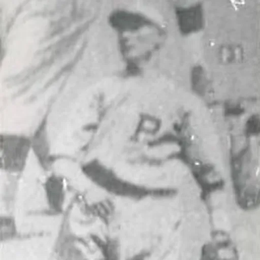 Portrait of Petie Behan