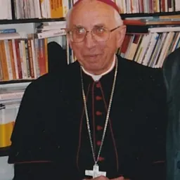 Portrait of Dominik Tóth