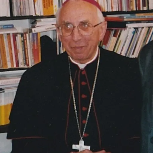 Portrait of Dominik Tóth