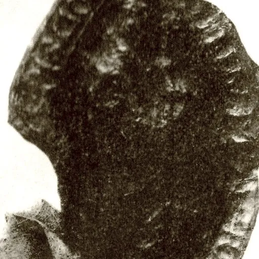 Portrait of Abraham of Strathearn