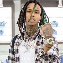 Portrait of Lil Gnar