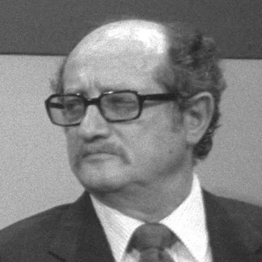 Portrait of Haim Hefer