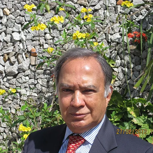 Portrait of Krishnan Srinivasan