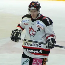 Portrait of Tobias Salmelainen