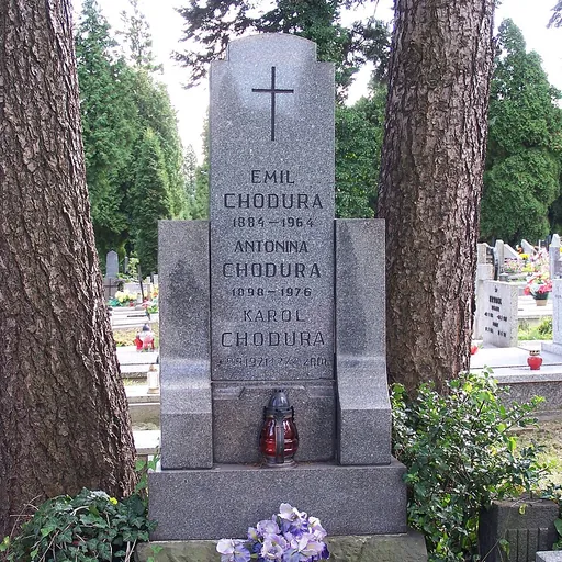 Portrait of Karol Chodura