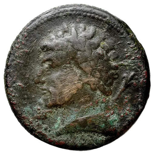 Portrait of Hiarbas of Numidia
