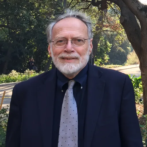 Portrait of David Hollinger