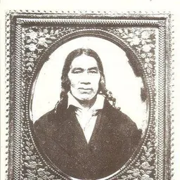 Portrait of Simon Johnson