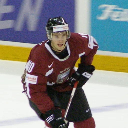 Portrait of Lauris Dārziņš