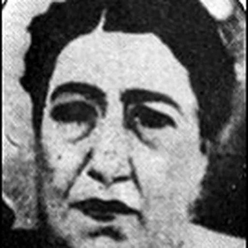 Portrait of Ayesha Al-Taymuriyya