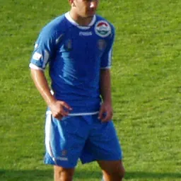 Portrait of Igor Mirčeta