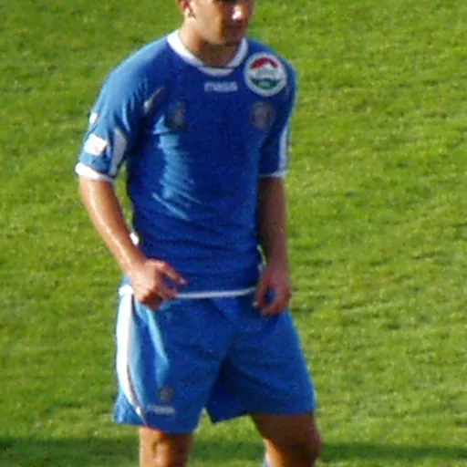 Portrait of Igor Mirčeta