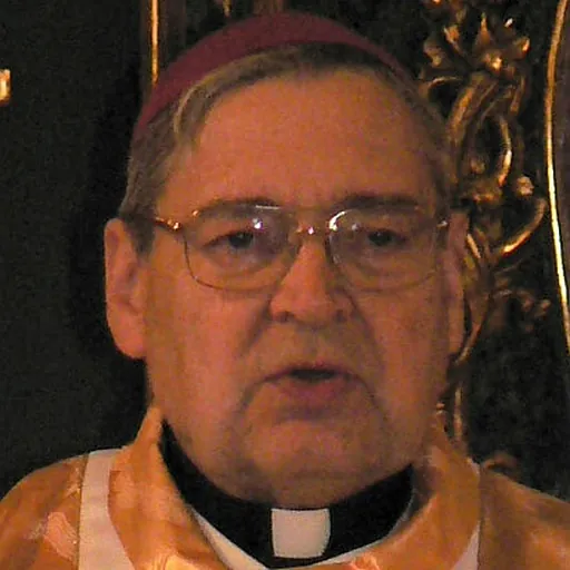 Portrait of István Seregély