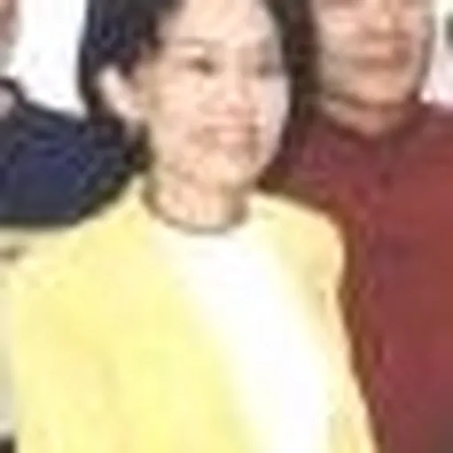 Portrait of Chen Li-chen
