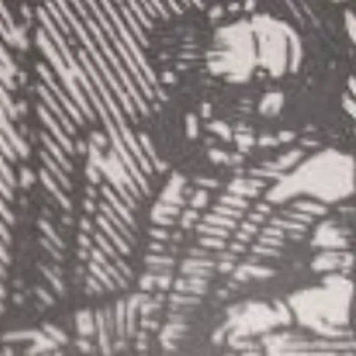 Portrait of Gazi Husrev-beg