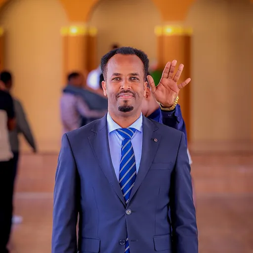 Portrait of hassan gallaydh