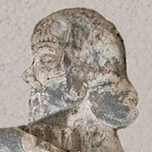 Portrait of Gaumata