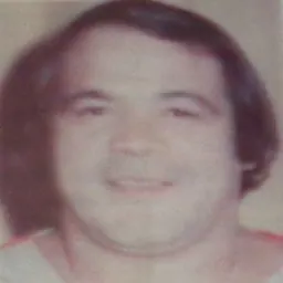 Portrait of José Lothario