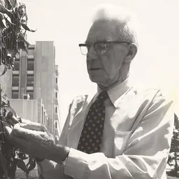 Portrait of Torchy Atkinson