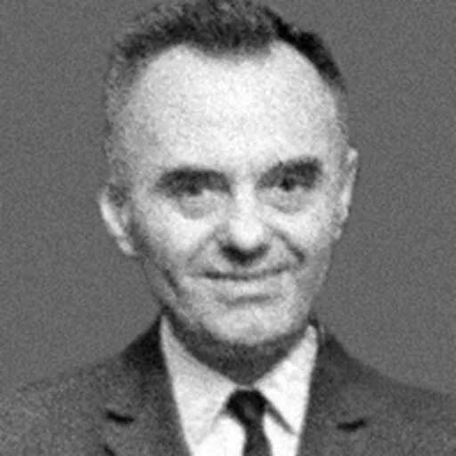 Portrait of Roman Stanisław Ingarden