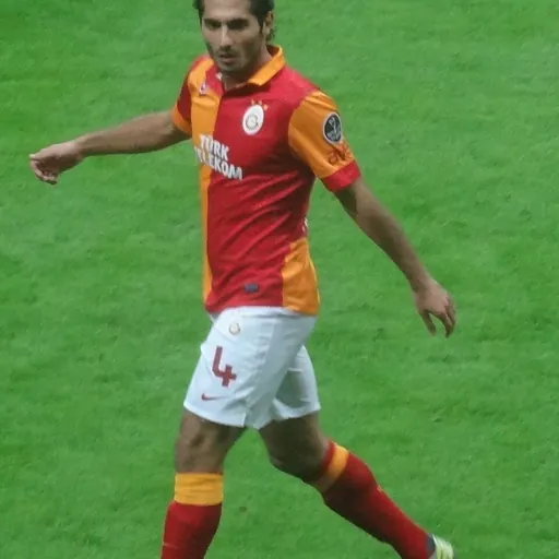 Portrait of Hamit Altıntop