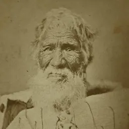 Portrait of Eruera Maihi Patuone