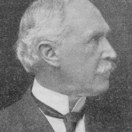 Portrait of John Lee Webster