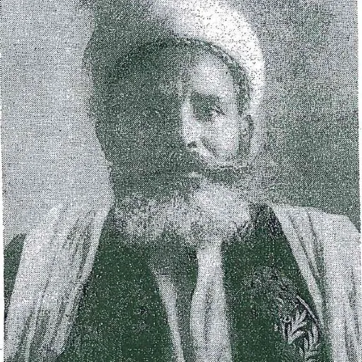 Portrait of Sharif Aydurus