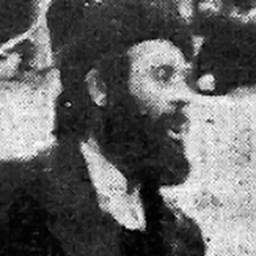 Portrait of Pavle Đurišić