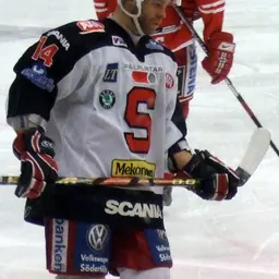 Portrait of Robert Carlsson