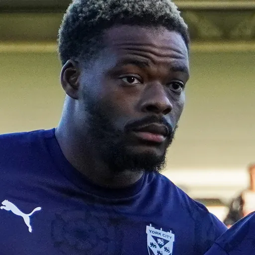 Portrait of Dipo Akinyemi