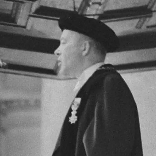 Portrait of Folkert de Roos