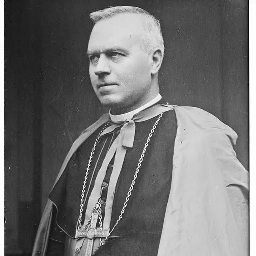 Portrait of Jozef-Ernest van Roey