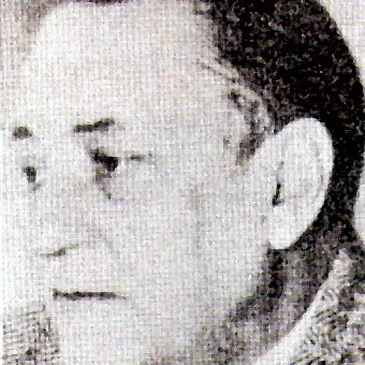 Portrait of Alejo Carpanter